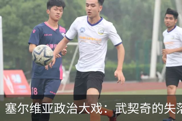塞尔维亚政治大戏：武契奇的失落与外部“导演