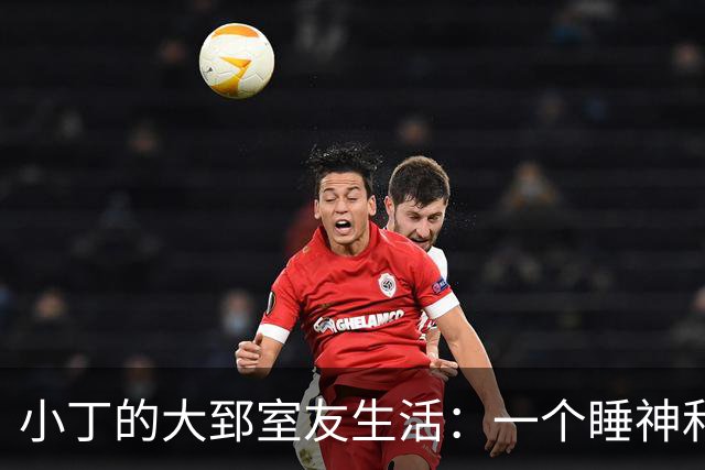 小丁的大郅室友生活：一个睡神和半夜发光的小机灵